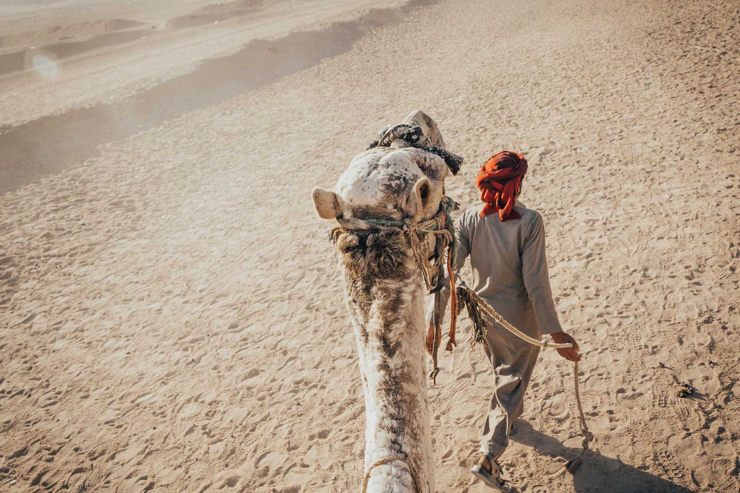 A Bedouin Man Leading A Camel In A Sandy Desert Landscape