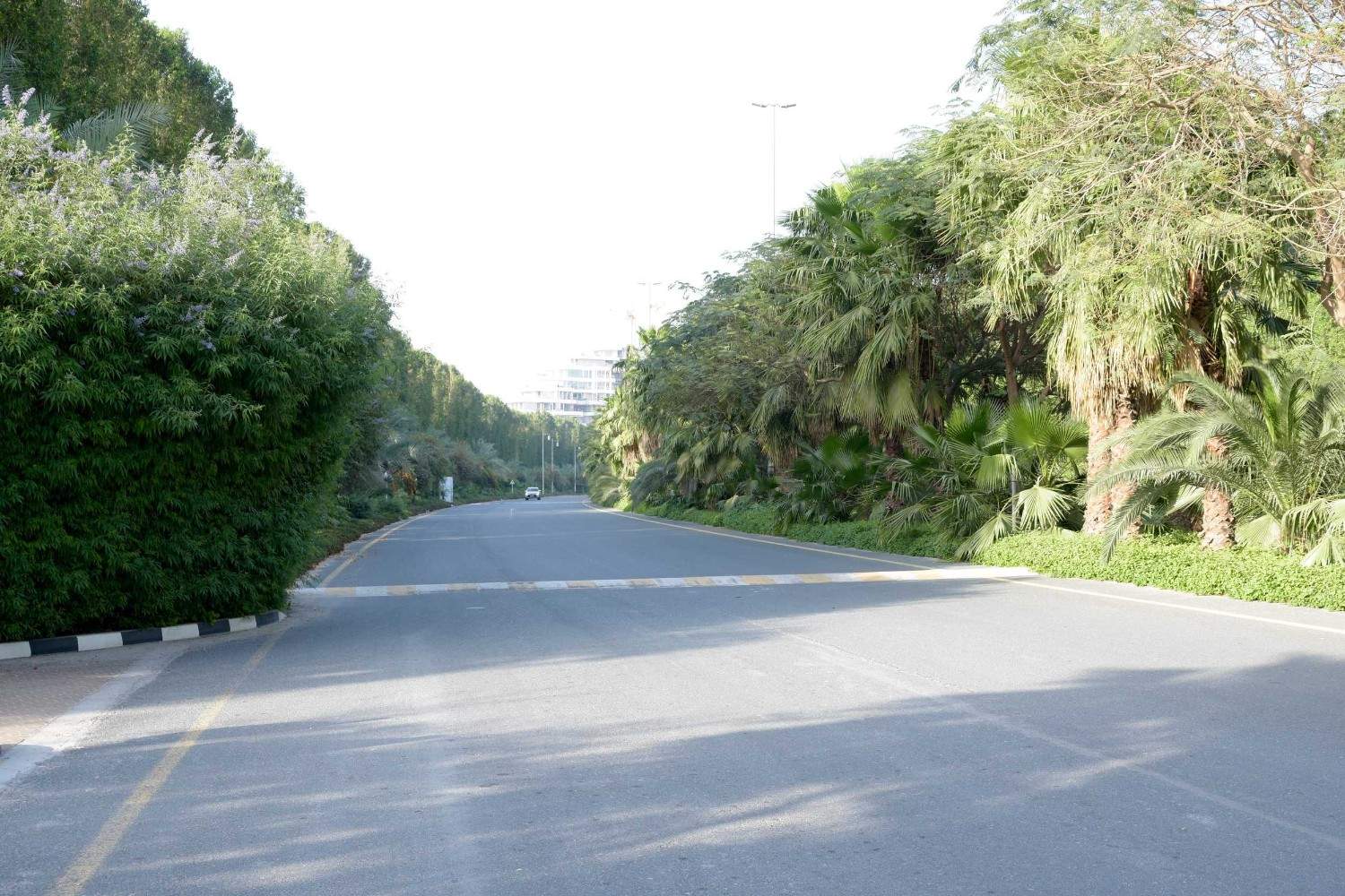 Al Barari Dubai During Spring Al Barari Dubai During Spring