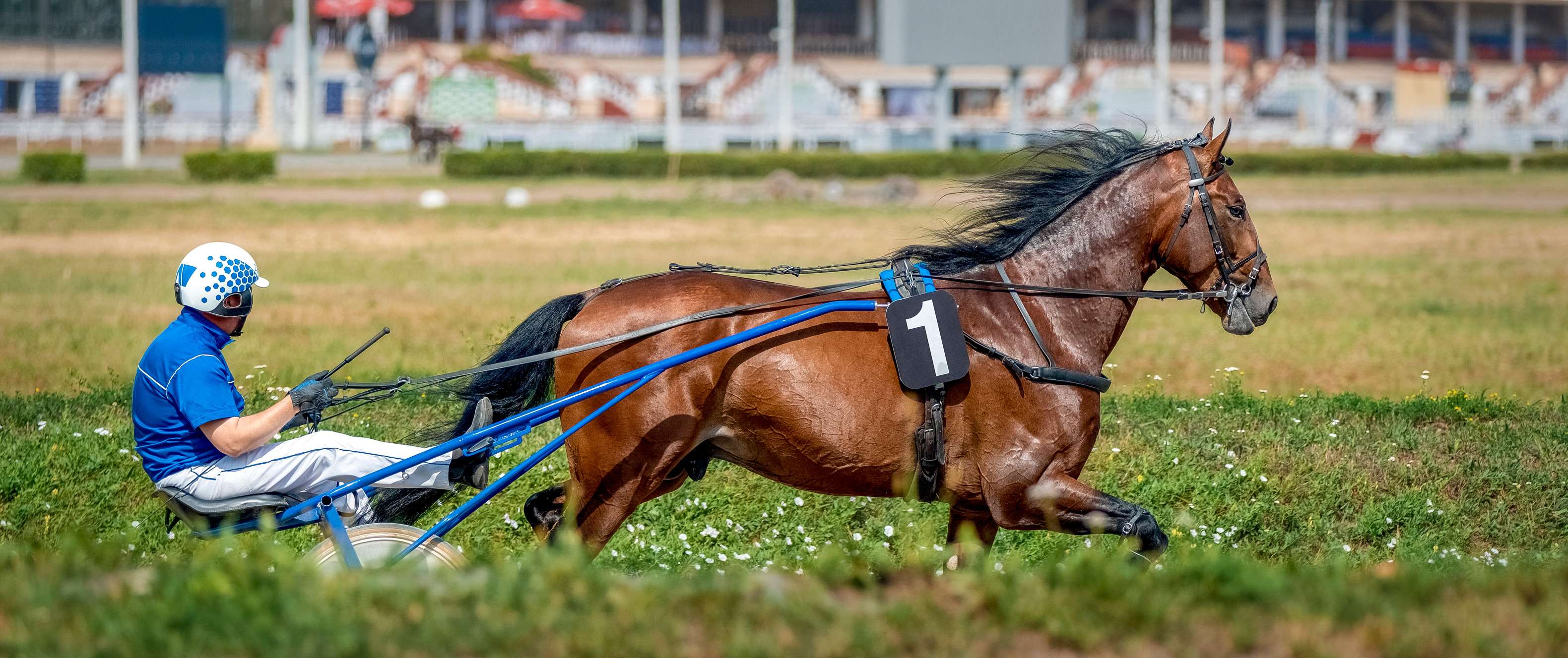 Planning Your Uae Visit Around The Dubai World Cup 2026