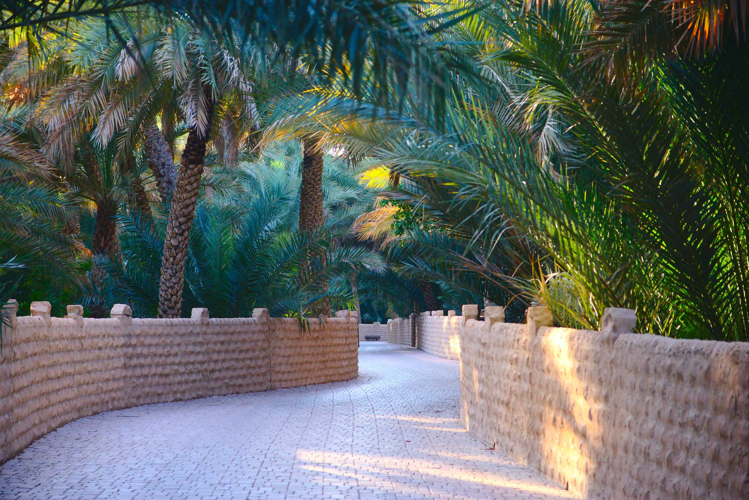 Walkway Through Ai Ain Oasis